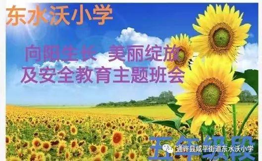 东水沃小学开展阳光心理主题bsport体育入口德育活动培养最美少年的成长气质。高中招生(图2)