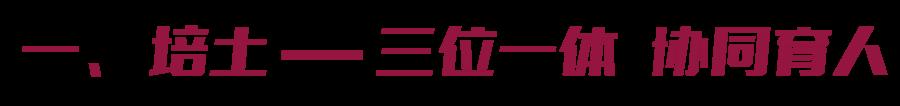 德育特色示范校｜深根bsport体育固本为学生的幸福人生奠基！龙岗这校“树本”德育外语教研的实践与思考(图1)